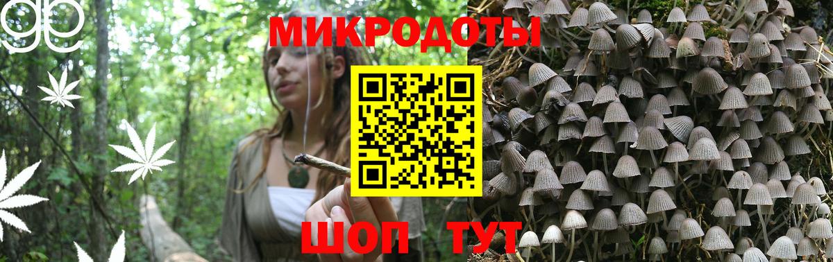 Хасавюрт  Псилоцибиновые грибы Psilocybe  Вход с VPN 